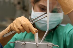 vitrificación embrionaria