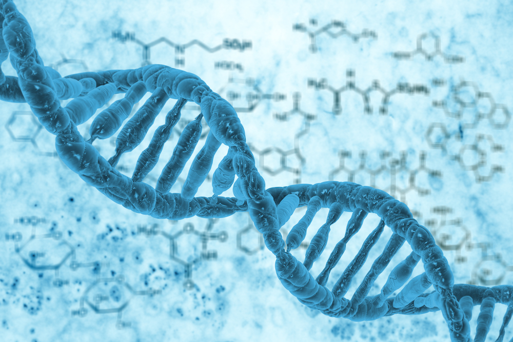 ¿Cómo se realiza la selección genética de embriones para lograr el embarazo?