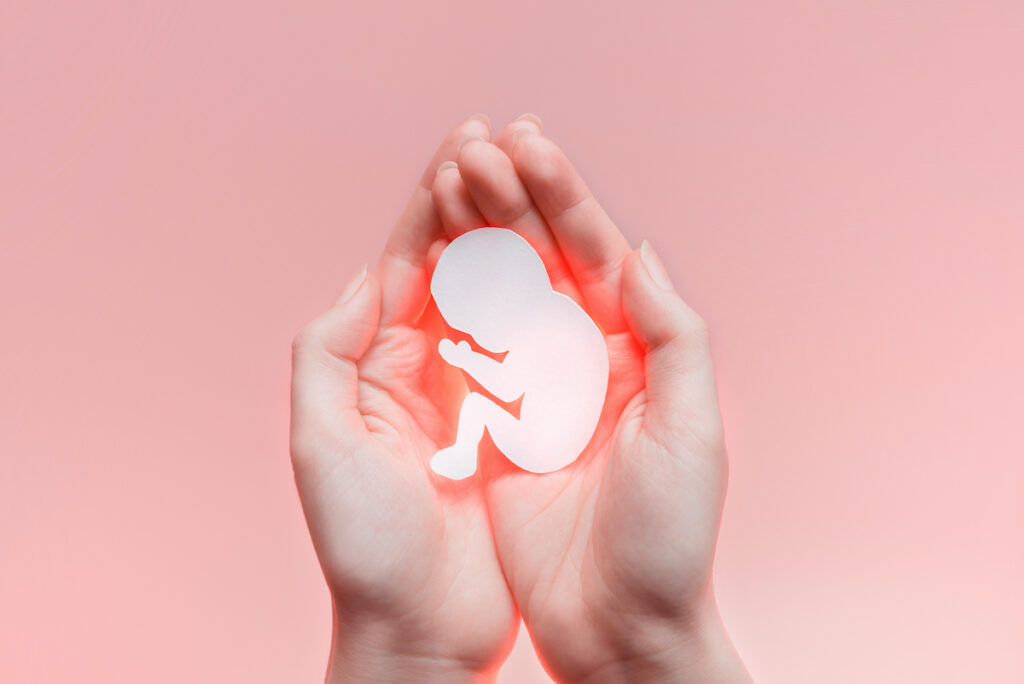 ¿En qué consiste la embriodonación?