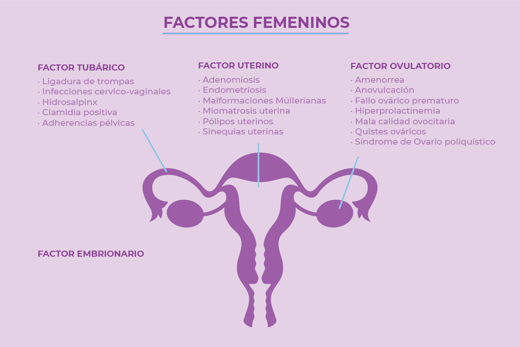 principales-causas-de-infertilidad-femenina